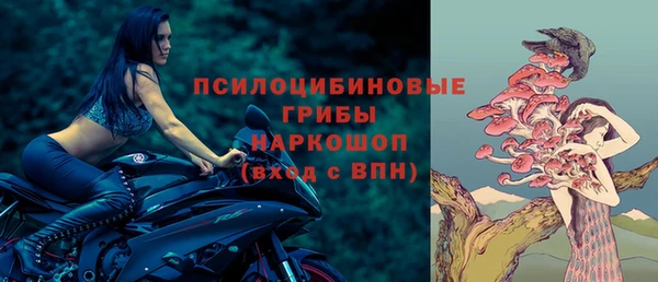 PSILOCYBIN Аркадак
